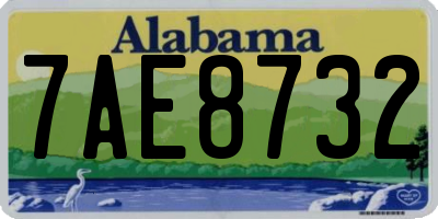AL license plate 7AE8732