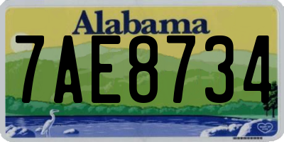 AL license plate 7AE8734