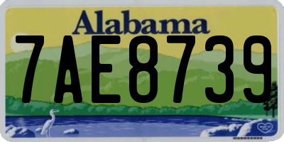 AL license plate 7AE8739