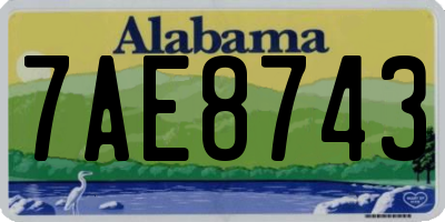 AL license plate 7AE8743