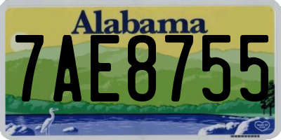 AL license plate 7AE8755