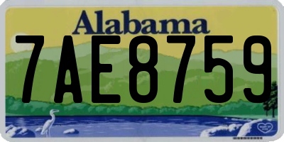 AL license plate 7AE8759