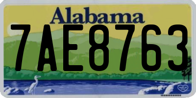 AL license plate 7AE8763
