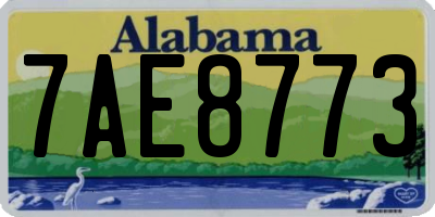 AL license plate 7AE8773