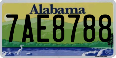 AL license plate 7AE8788