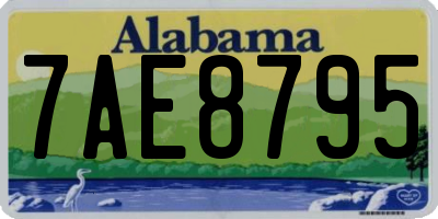 AL license plate 7AE8795