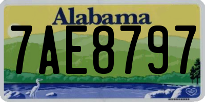 AL license plate 7AE8797