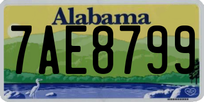 AL license plate 7AE8799