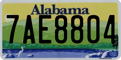 AL license plate 7AE8804