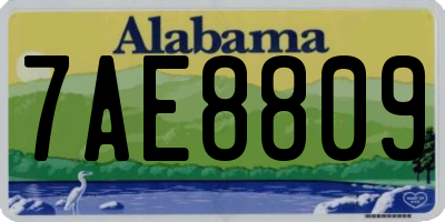 AL license plate 7AE8809