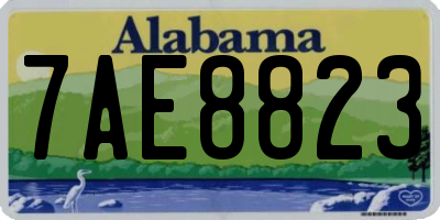 AL license plate 7AE8823
