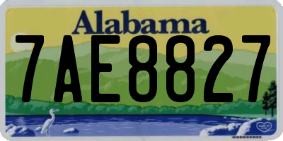 AL license plate 7AE8827