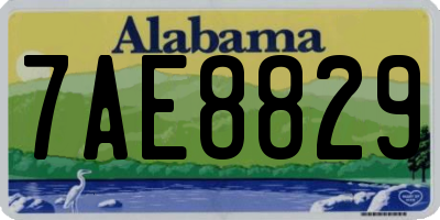 AL license plate 7AE8829