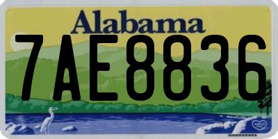 AL license plate 7AE8836