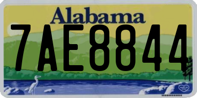AL license plate 7AE8844