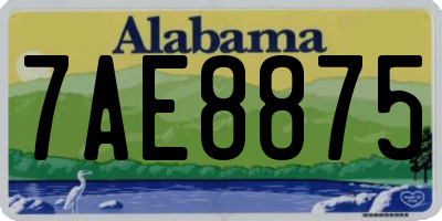 AL license plate 7AE8875