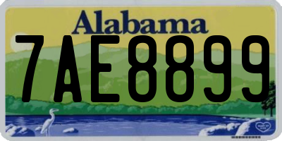 AL license plate 7AE8899