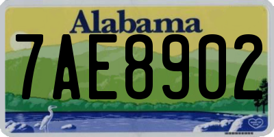 AL license plate 7AE8902