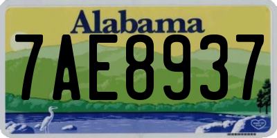 AL license plate 7AE8937