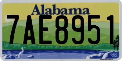 AL license plate 7AE8951