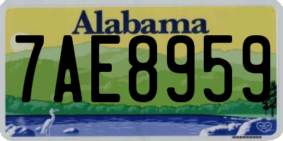 AL license plate 7AE8959