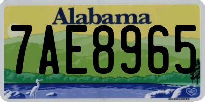AL license plate 7AE8965