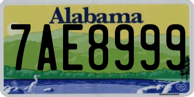 AL license plate 7AE8999