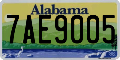 AL license plate 7AE9005