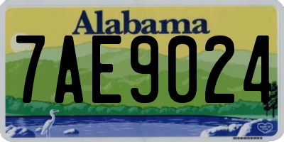 AL license plate 7AE9024