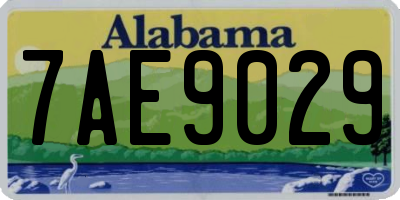 AL license plate 7AE9029