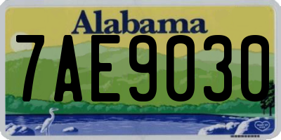 AL license plate 7AE9030