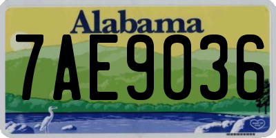AL license plate 7AE9036