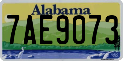 AL license plate 7AE9073