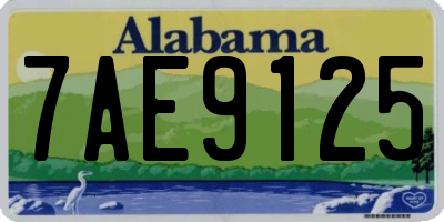 AL license plate 7AE9125