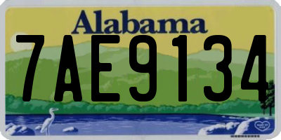 AL license plate 7AE9134