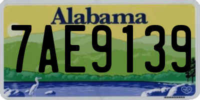 AL license plate 7AE9139