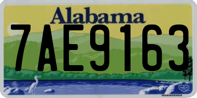 AL license plate 7AE9163