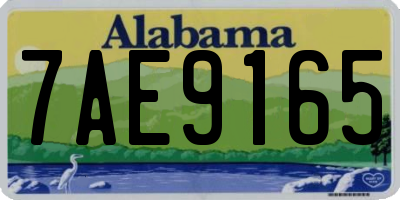 AL license plate 7AE9165
