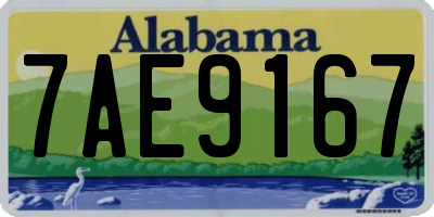AL license plate 7AE9167
