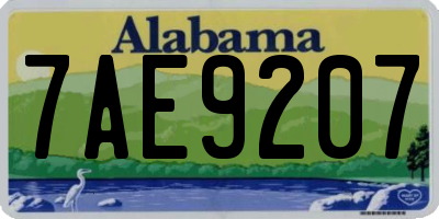 AL license plate 7AE9207