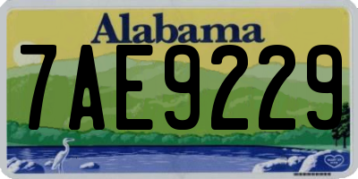 AL license plate 7AE9229