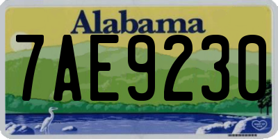 AL license plate 7AE9230