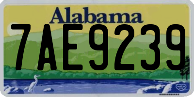AL license plate 7AE9239