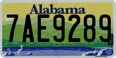 AL license plate 7AE9289