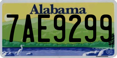 AL license plate 7AE9299