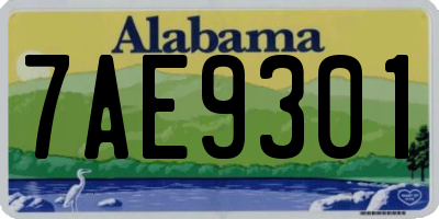 AL license plate 7AE9301