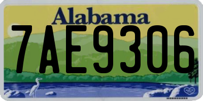 AL license plate 7AE9306
