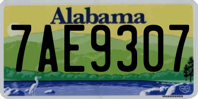 AL license plate 7AE9307