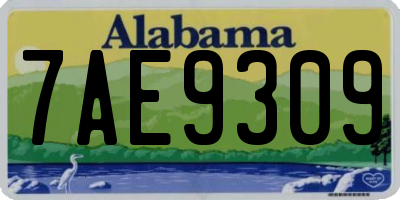 AL license plate 7AE9309