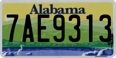 AL license plate 7AE9313